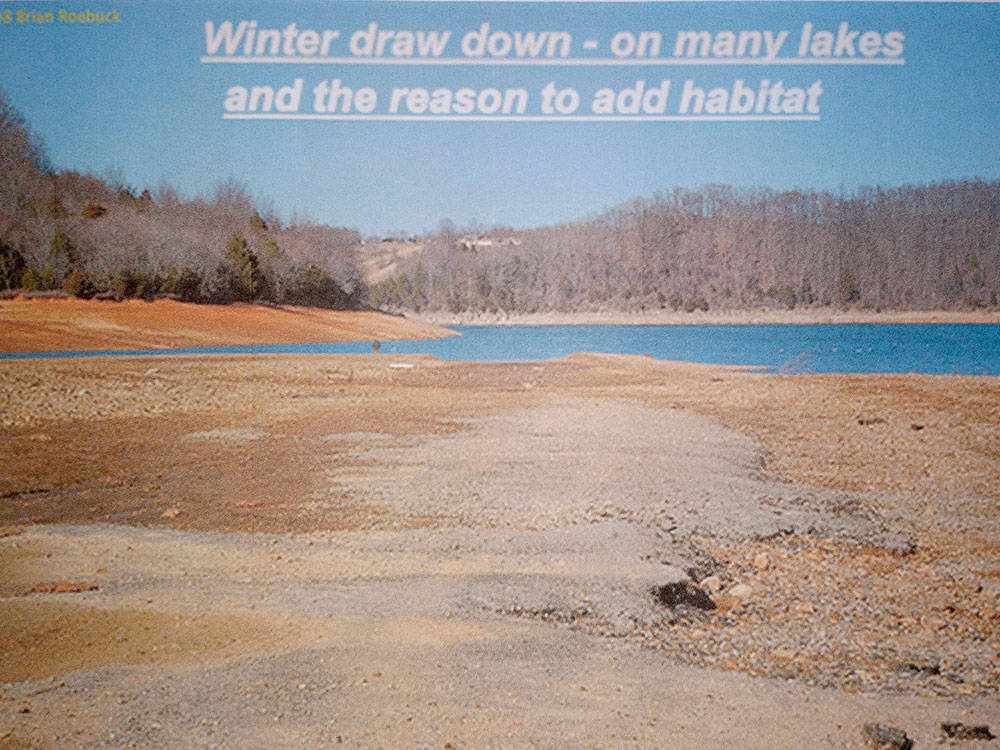 Anglers Unlimited Association | Fish Habitat