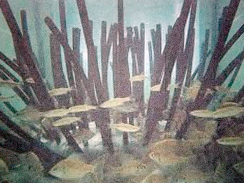 Anglers Unlimited Association | Fish Attractor Underwater View