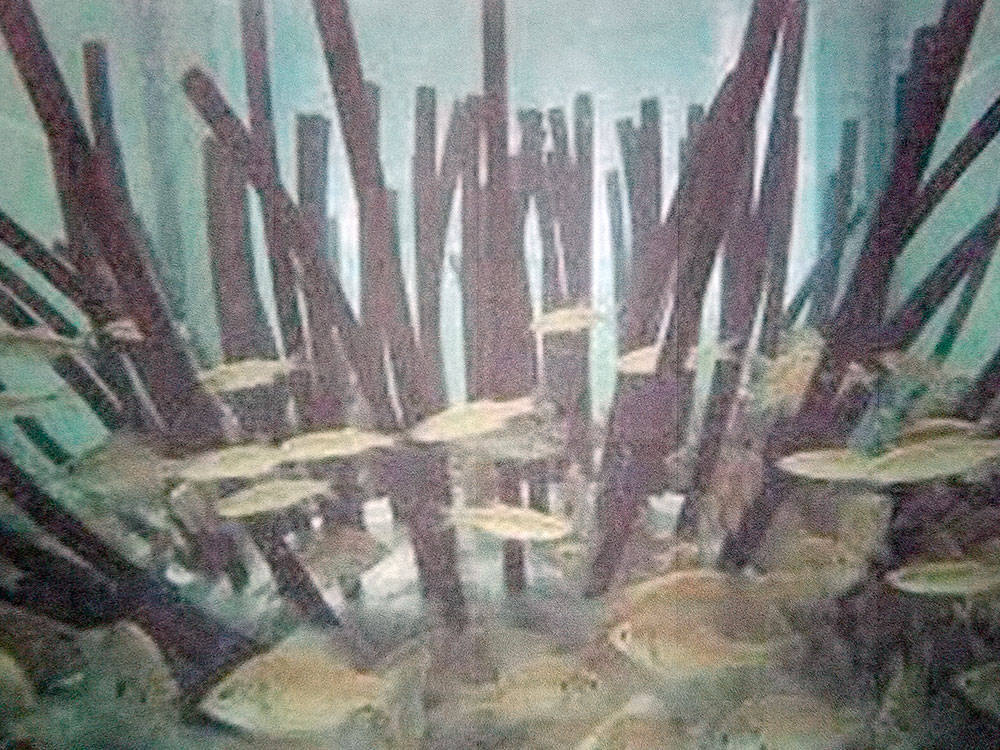 Anglers Unlimited Association | Fish Attractor Underwater View