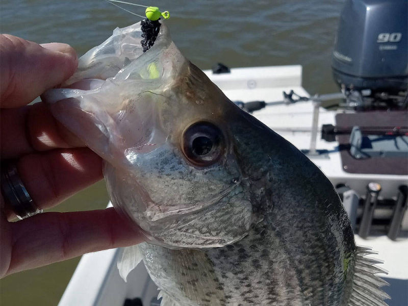 BaiBai Baits Hand Tied Crappie Hair Jig