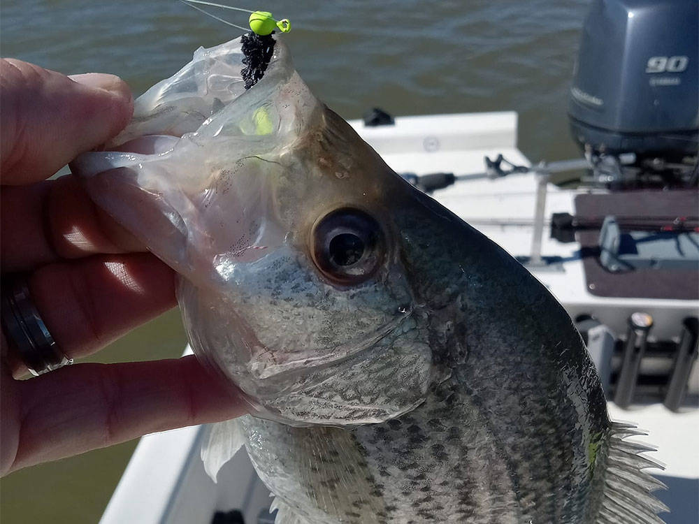 BaiBai Baits Hand Tied Crappie Hair Jig
