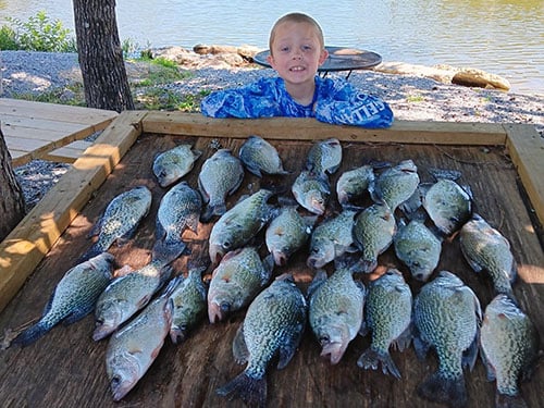 Pentecost Fishing | Lake Weiss Crappie Guide