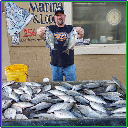 Lake Weiss Crappie Fishing Guide Prices | Pentecost Fishing
